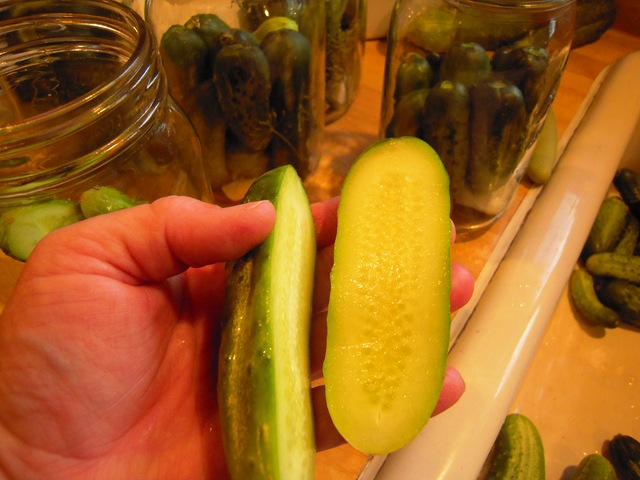 [pickles 019[2].jpg]