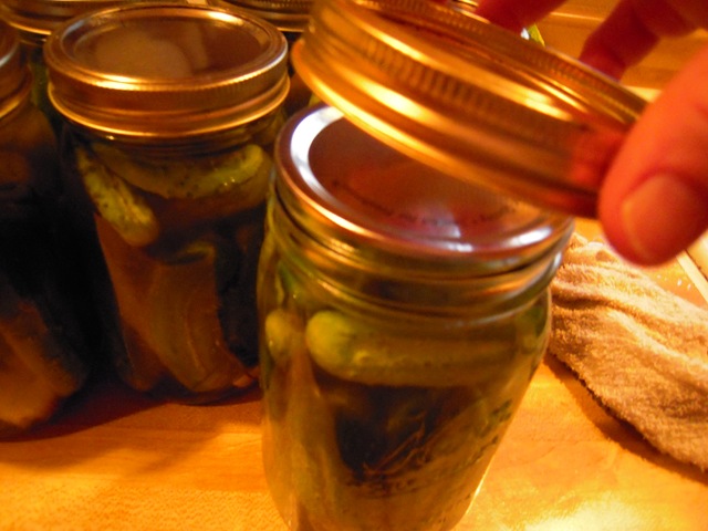 [pickles 023[2].jpg]