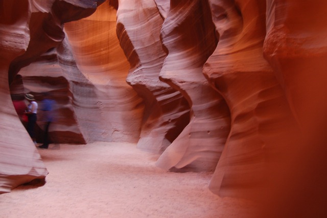 [DSC_9022[2].jpg]
