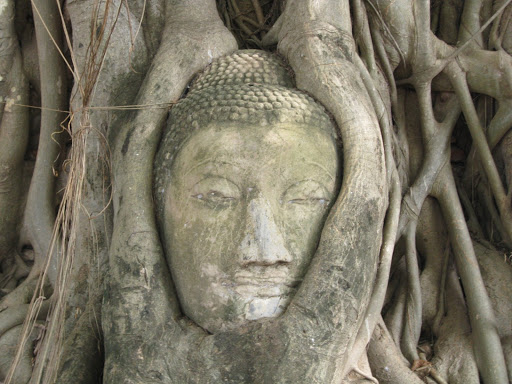 buddha by acorn tattoo pictures on this tree person Border