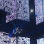 muse281109