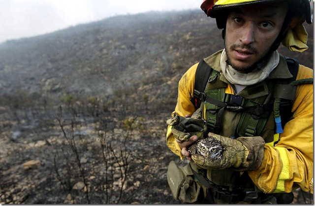 SPAIN WILDFIRES