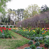 The gardens behind the Governor's Palace.