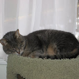 Half asleep, as usual.