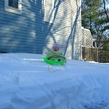 Sledding on a snowbank after Blizzard '09. (December)