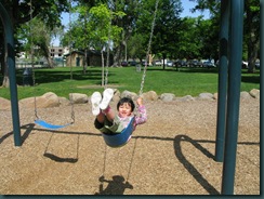 IMG_2465 IMG_2465