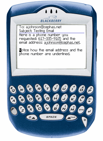 [blackberry_ui_large[3].gif]