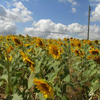 RIMG1217.JPG