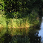 Dublin and Holland May 2009 599.JPG