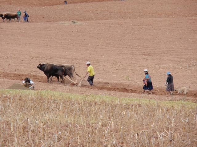 [machupicchu0223.jpg]