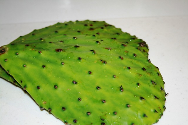 [nopales1[7].jpg]