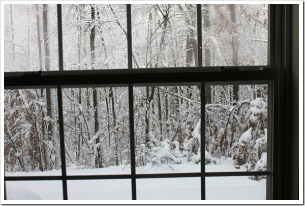 Winter2011-2 Winter2011-2