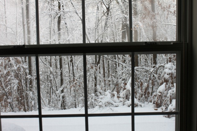 [Winter201121.jpg]