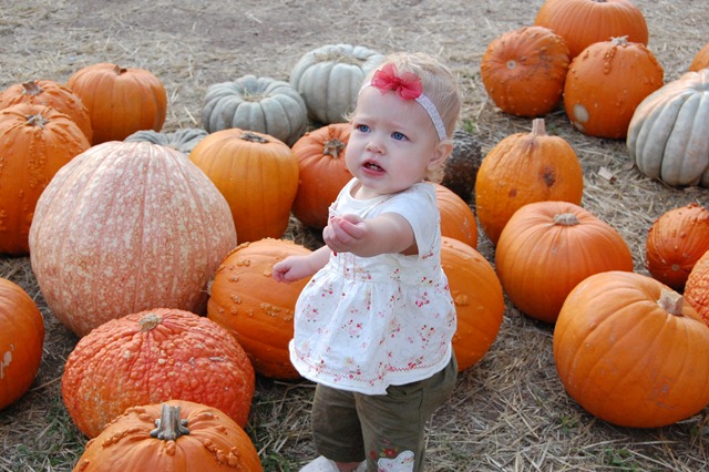 [DSC_0503[2].jpg]