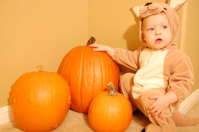 [DSC_0081[2].jpg]