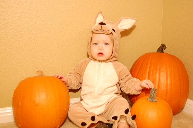 [DSC_0108[2].jpg]