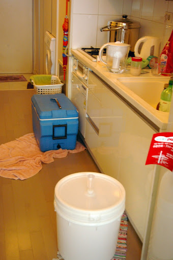 Our homebrewing mess