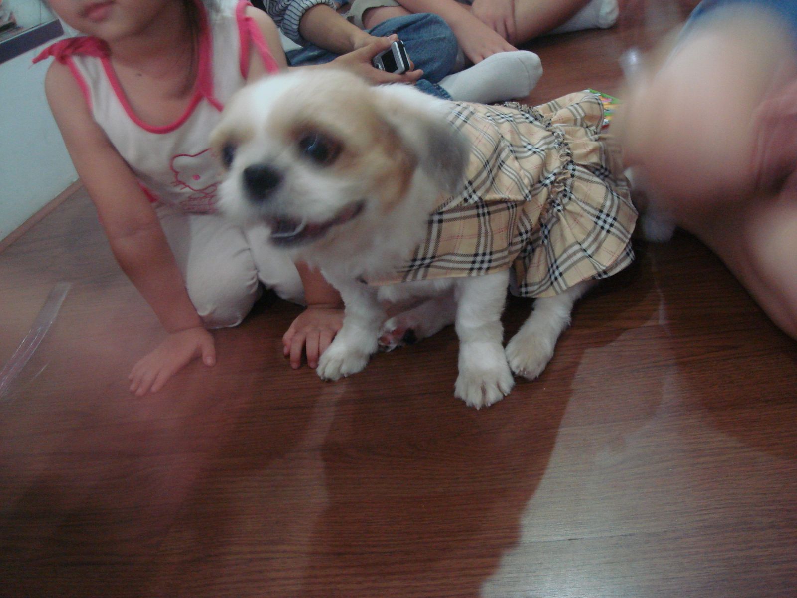 [DSC05253.JPG]