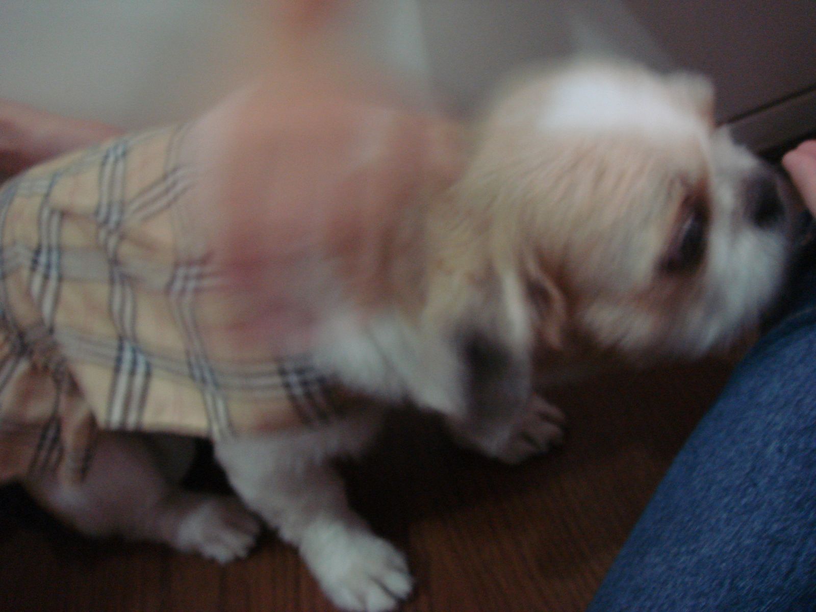 [DSC05240.JPG]