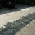 R0023962.JPG