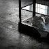 IMG_5312.JPG