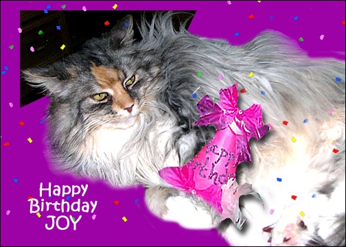 [Happy Birthday Joy FandF[6].jpg]