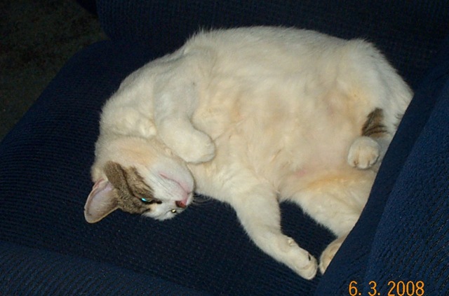 [Belly rub[3].jpg]