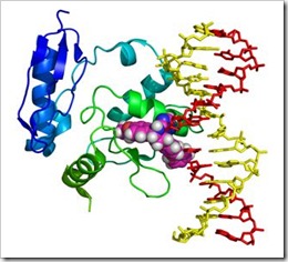 Proteína interagindo com um princípio activo (docking)