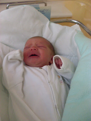 SDC13930.JPG