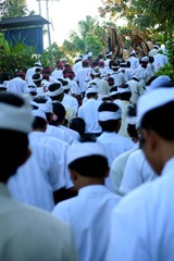 m_DSC_5526
