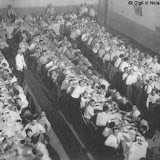 Una "questua"; anno 1930.