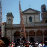 Vista di profilo del Giglio del Salumiere; anno 2004.