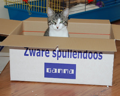 Afbeelding