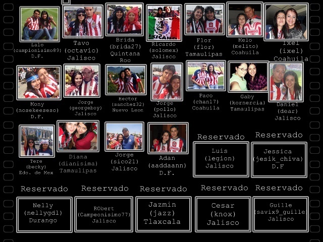 http://lh3.ggpht.com/_aVp6GpAMsJ0/S4WFZrfrHxI/AAAAAAAACIQ/pAnsdO6XCQM/s800/catss.jpg