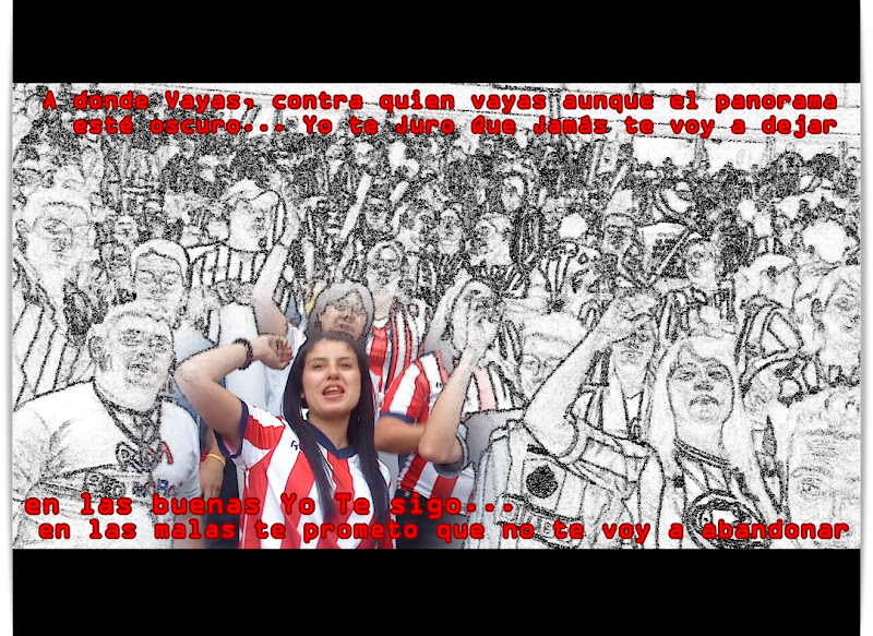 http://lh3.ggpht.com/_aVp6GpAMsJ0/TAQ0RJXSCUI/AAAAAAAACa4/XlciI7JB8Fs/s800/Libre5.JPG