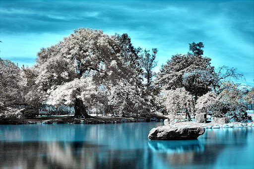 Japan infrared photography taken by lrargerich
