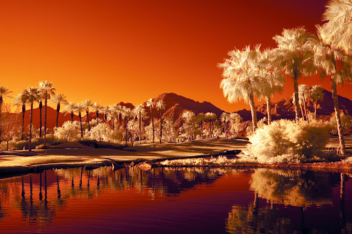 An infrared shot of Palm Springs