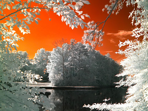 An infrared shot of Barrett Lake without channel swapping