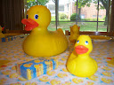 baby shower party theme