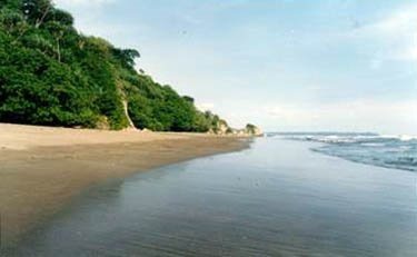 [pangandaran3[3].jpg]