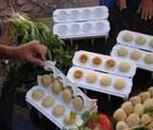 Fabrica de Coxinhas com 40 formas de 6 cm para Lanchonetes