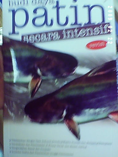 pemeliharaan