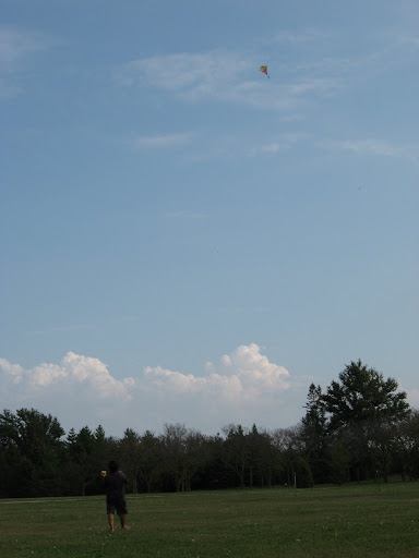 Hi Fly Kites