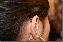 IMG_6596 IMG_6596