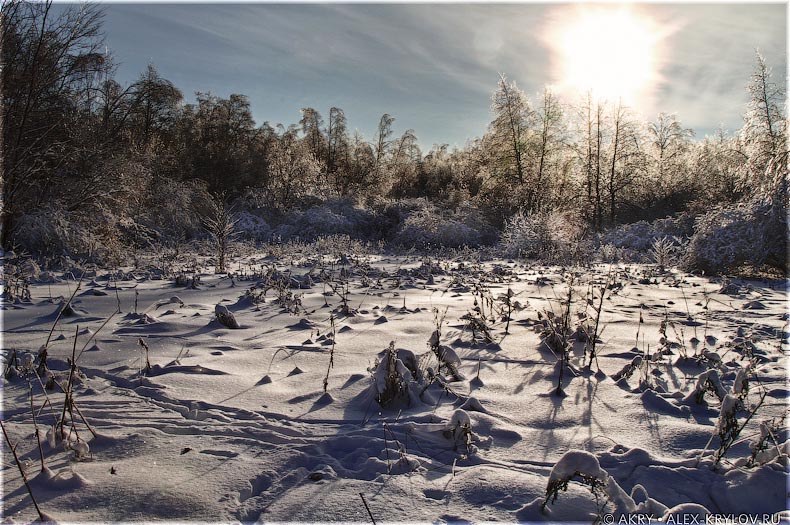 Ice Land