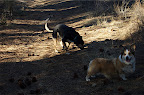 DSC_0025.NEF (Raw)