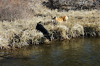 _DSC0055.NEF (Raw)
