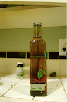 _DSC0004.NEF (Raw)
