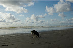 _DSC0078.NEF (Raw)