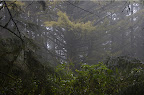_DSC0153.NEF (Raw)